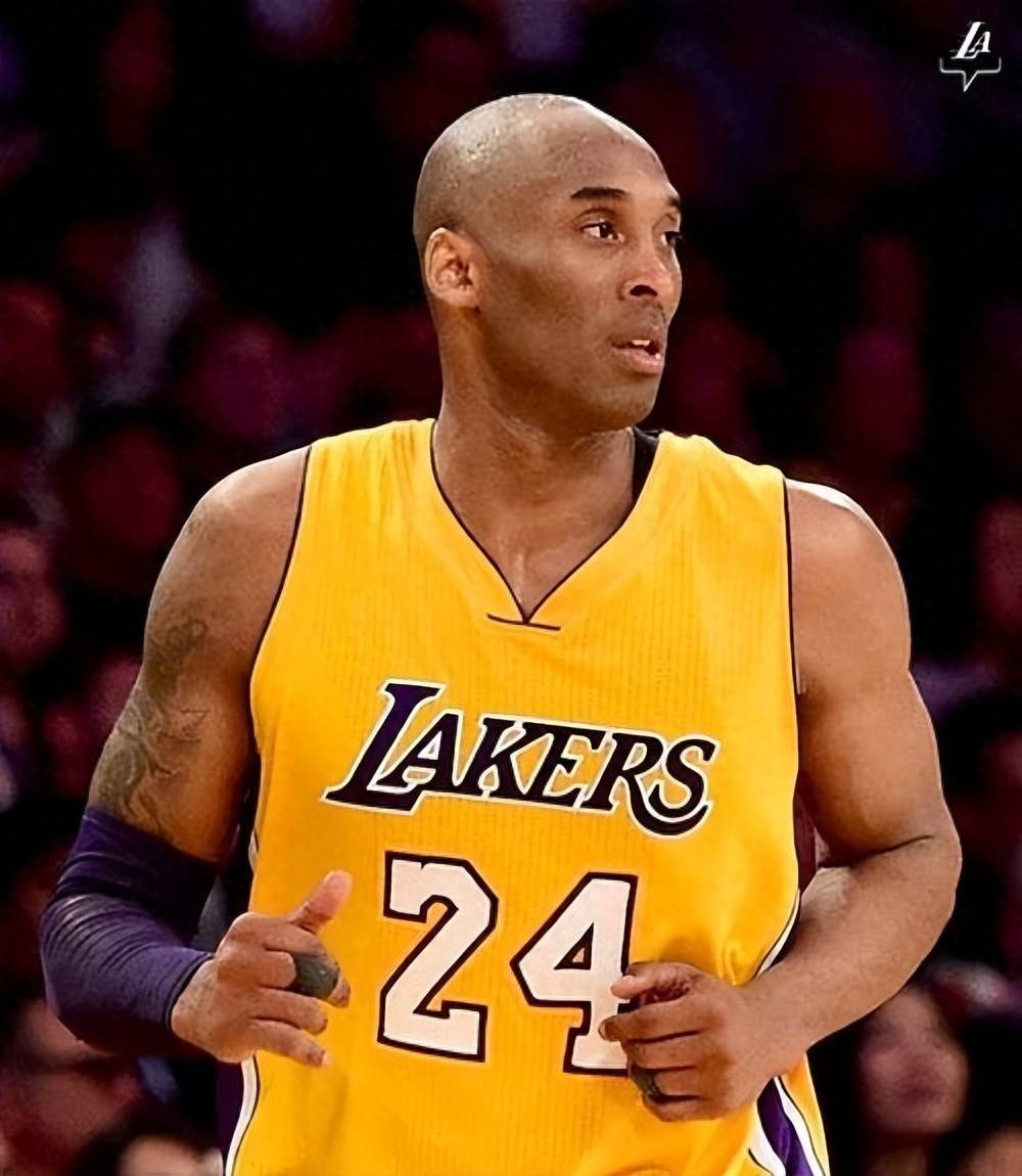 象后回到传 象后回到传